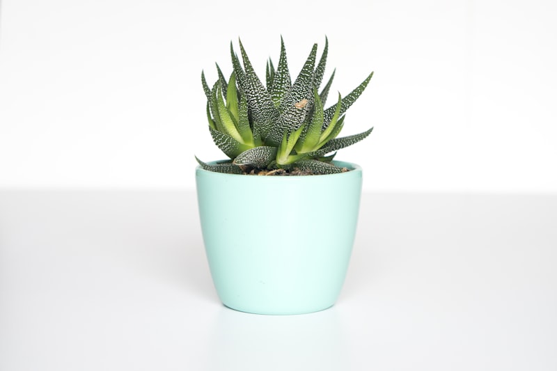 Heritage Terracotta Pots — Set of 3